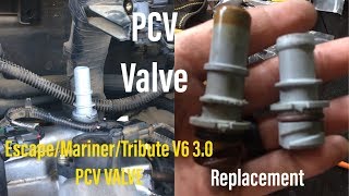 How To Replace PCV Valve for Ford Escape v6 30 Mercury Mariner amp Mazda Tribute Please Subscribe [upl. by Joselyn937]