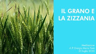 Il grano e la zizzania  P Giorgio Maria Faré [upl. by Leilani]