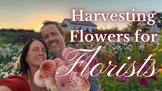 Flower Farming Unveiled Harvesting for Local Florists  PepperHarrowFarmcom [upl. by Oniger]