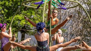 Forces of Nature at EPCOT World Celebration [upl. by Margaretta364]