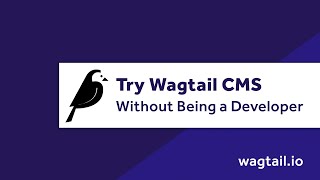 Try Wagtail CMS Without Being a Developer No coding involved [upl. by Acilef]