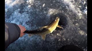 Lake Trout Ice Fishing Adventure Schroon Lake NY [upl. by Haneekas612]