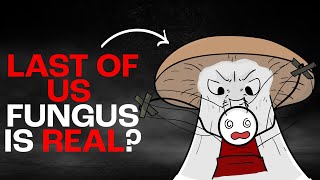 The Last of Us Fungus Is Real — Zombie Ants Cordyceps Educational Video  K12 [upl. by Bud]