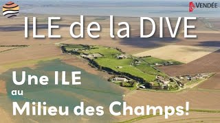 GÉOLOGIE de lILE de la DIVE en VENDÉE [upl. by Trebeh986]