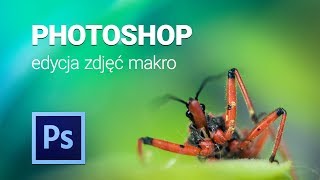 Photoshop edycja zdjęć makro [upl. by Smart684]