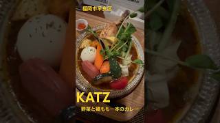 【ひまねこ】ボリュームたっぷりの早良区、藤崎のカレーのお店KATS ダッチオーブンで煮込む『スープカレー』amp『ココナッツカレー』♪￼おいしいですよ外国人観光客 ￼ shorts グルメ [upl. by Sonnie585]