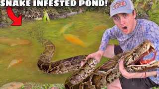 I Found a Pond INFESTED with Deadly Snakes [upl. by Airehs]