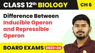 Difference Between Inducible Operon and Repressible Operon Molecular Basis of InheritanceClass 12 [upl. by Airbmac790]