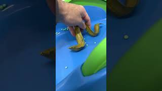 Eel Toy Down Slide [upl. by Seely26]