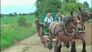 Teams of Belgian Draft Horses [upl. by Eatnahs]