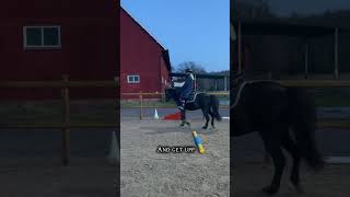 Tack för 100 prenumeranter ❤️Den tog jättelång tid att göra så snälla lika😭🐴❤️ [upl. by Dnalkrik]