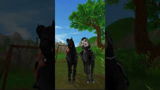 Bongola bongo cha cha cha sso starstable firetigersnation natponylove funnysso [upl. by Resee145]