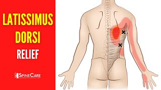 How to Fix Latissimus Dorsi Muscle Pain FOR GOOD [upl. by Adda]