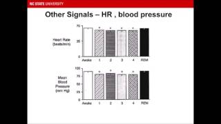 Introduction to EEG Based Polysomnography  Sleep Study [upl. by Enyaz]