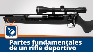 Partes fundamentales y funcionamiento de un rifle [upl. by Anev610]