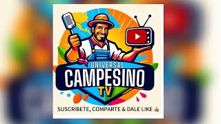 RANFIS DOMÍNGUEZ TRUJILLO VS ROQUE ESPAILLAT QUIEN DICE LA VERDAD FELO GARCÍA [upl. by Colline]