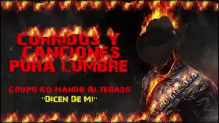 CORRIDOS Y CANCIONES PURA LUMBRE [upl. by Anora]