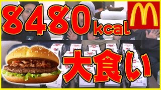 【大食い】マクドナルド 復活カルビマック20個大食いチャレンジでギネス記録に挑戦！ [upl. by Rehpetsirhc]