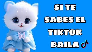 Si Te Sabes El TikTok Baila  2023 [upl. by O'Meara895]