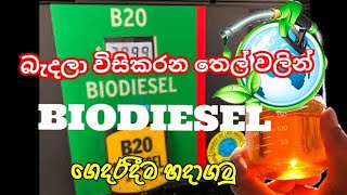 what is biodiesel how to make at home [upl. by Llerrac]