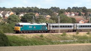 Class 50s Return to the Mainline [upl. by Herzberg834]