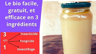 un insecticidefongicide bio facile gratuit et efficace pour vos jardins [upl. by Kuth]