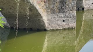 La poca acqua fa riemergere le basi di Ponte Buriano [upl. by Thacker354]