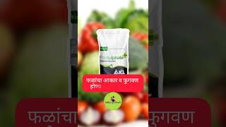 ICL polysulphate fertilizer shorts shortvideo fertilizer [upl. by Coppock]