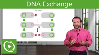 DNA Exchange Transformation Conjugation amp Transduction – Microbiology  Lecturio [upl. by Hazeghi518]