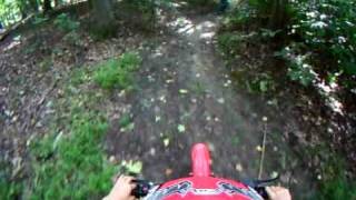 125cc Pit Bike riding in Seaford woods using a GoPro camera 2 [upl. by Niela]