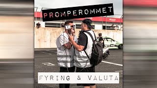 FYRING OG VALUTA [upl. by Guyer]