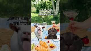 Picknicken mit meiner Freundin catmemes katzen beziehung [upl. by Nillek]