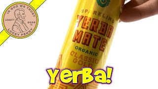 Yerba Mate Organic Classic Gold Drink Guayaki Review [upl. by Sumer]