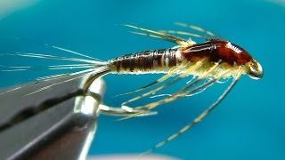 Tying a Small MayFly Nymph by Davie McPhail [upl. by Rooke]