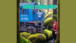 trenes argentinos general Roca compilado 2024 a todo ritmo trenesargentinos [upl. by Nauquf983]