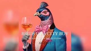 BURNA BOY VS BILLIE EILISH MASH UP  CITY BOYS X BIRDS OF A FEATHER INSTRUMENTAL BURNA BOY MASHUP [upl. by Tolmann]