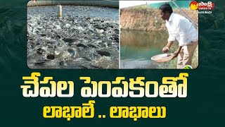 Profits With Fish Farming  Aquaculture  Fish Farming In Telugu SakshiTVSagubadi [upl. by Leiva]