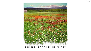 ישי ריבו  פורחים לשובם  Ishay Ribo  Porchim Leshuvam [upl. by Haisi]