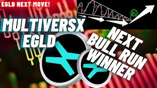 MultiversX EGLD Crypto Coin The Next Bull Run Winner [upl. by Lateehs725]