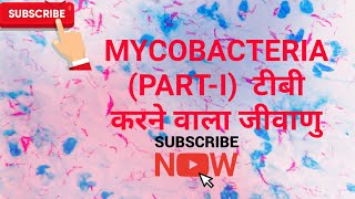 Mycobacteria ।। Mycobacterium tuberculosis Partl in hindi [upl. by Annotahs846]