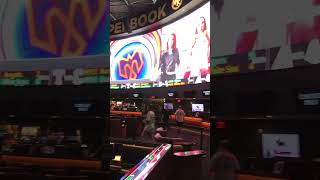 Westgate Sports Book Las Vegas [upl. by Yesnyl770]