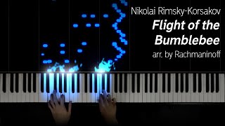 Flight of the Bumblebee arr by Rachmaninoff [upl. by Shepherd]