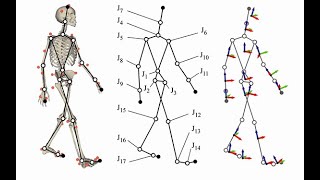 what is biomechanics How can biomechanics be used in sports [upl. by Elyse]