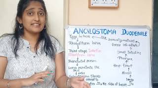 Ancylostoma Duodenale morphology Life cycle in hindi Pathogenesis in hindi Lab diagnosis [upl. by Einhoj]