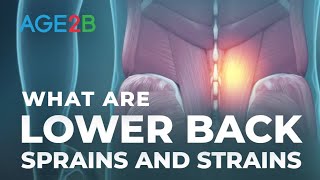 What Are Lower Back Sprains and Ligament Strains  Lower Back Pain Relief [upl. by Ut]