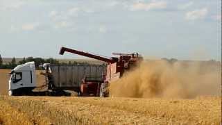 Case IH Combine  Speed [upl. by Noled]