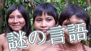 【概念を超越】謎の言語を操るｱﾏｿﾞﾝの少数派民族｢ﾋﾟﾀﾞﾊﾝ族｣最凶の閲覧注意 [upl. by Froma816]