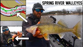 Catching TONS of Spring Walleyes in SHALLOW River [upl. by Ahseenal926]