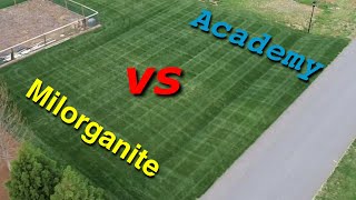 Milorganite Fertilizer Update  Is The Grass Greener On The Other Side [upl. by Pisarik578]