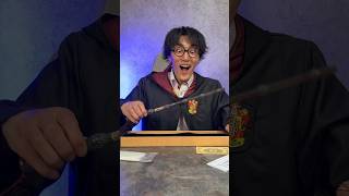 I Got a Harry Potter Wand [upl. by Kevon194]